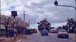 Road Trip to Clare Valley, South Australia