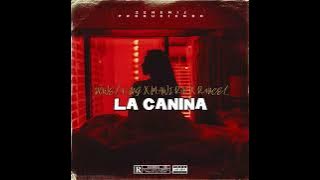 DOWEL KING  ❌ El Mawi RD ❌ R4NCEL - La Canina (Audio Oficial) Prod By @zenemij