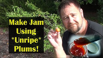 Make Plum Jam From Unripe Fruit!