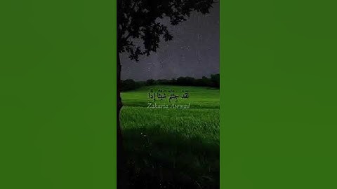 وقالوا اتخذ الرحمن ولدا ( القارئ زكريا عواد )