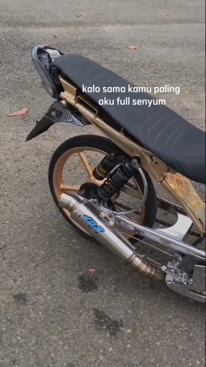 story'wa herex tiger trondol 30 detik
