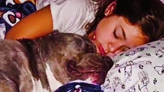 Girl Insists On Sleeping With Pitbull, Vet Tells Dad To Film It