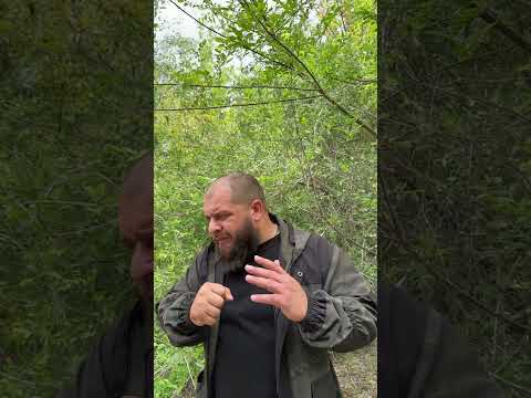 Эффективная самооборона от животных