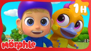 Panicky Painting! 😨 | Fun Animal Cartoons | @MorphleTV  | Learning for Kids by Magic Cartoon Animals! - Morphle TV 1,672 views 1 day ago 58 minutes