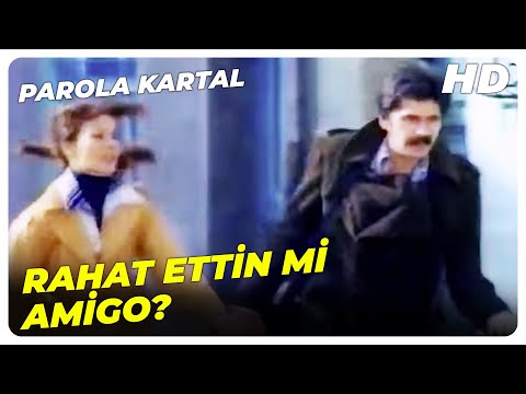 Parola Kartal - Vay Be, Bu Ayı Zincirini Koparmış! | Yalçın Gülhan, Ünsal Emre Eski Türk Filmi