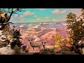 Disneyland Railroad The Grand Canyon At Disneyland Park 4K 60FPS