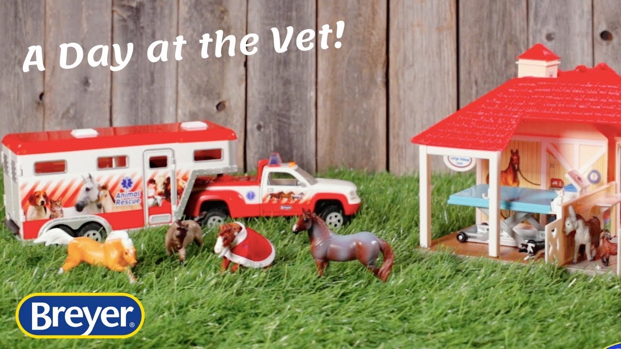 breyer horse vet clinic