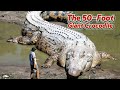 Mahamba The 50 Foot Giant Crocodile Lurking In The Congo Rainforest Mahamba The 50 Foot Giant Crocodile Lurking In The Congo Rainforest