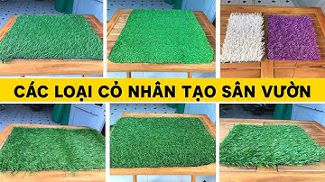 Các loại mẫu thảm cỏ nhân tạo sân vườn hiện nay | #cỏ_nhân_tạo