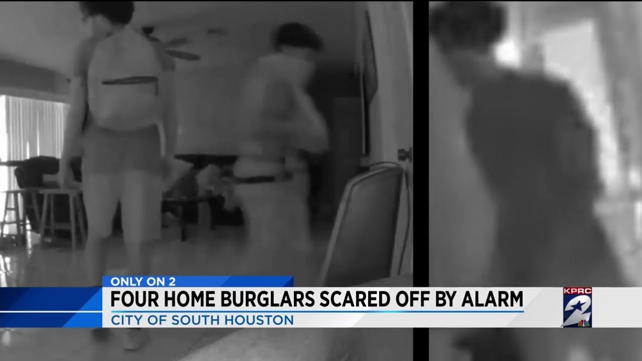 Four home burglars scared off by alarm