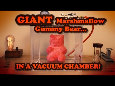 GIANT Marshmallow Gummy Bear In a Vacuum Chamber