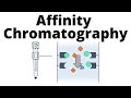 Affinity Chromatography Quiz