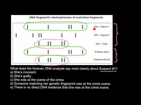 Forensic Genetics basics