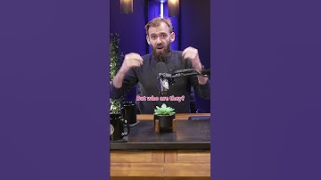 The power of freelance networking