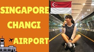 Singapore Changi Airport | 新加坡樟宜机场