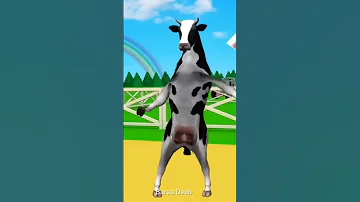 البقرة الراقصة البقرة الحلوب البقرة الضاحكة بقرة The Cow 