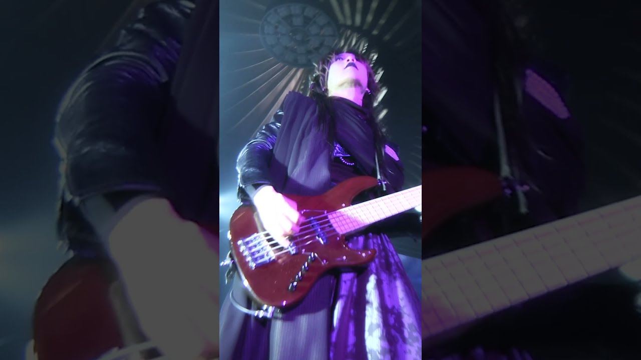 DVD teaser.5 ＃Shorts #ライブ - YouTube