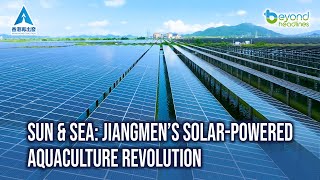 Sun Sea Jiangmen s Solar-Powered Aquaculture Revolution