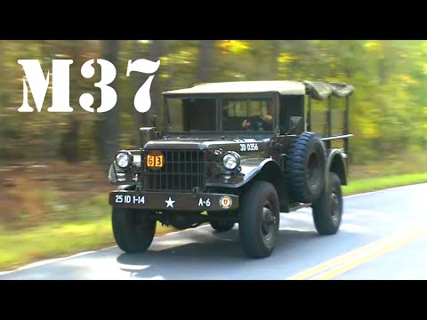 mark-koloc's-1953-m37