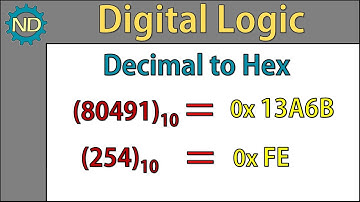 Convert Decimal to Hex (254 and 80491 Example)