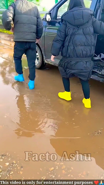 Waterproof Flying Shoes 👟 ll Carriage House wooden artist ll #cartoon #shortvideo