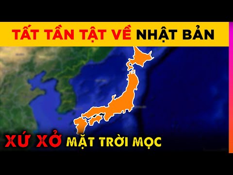 Video: Bí mật của 