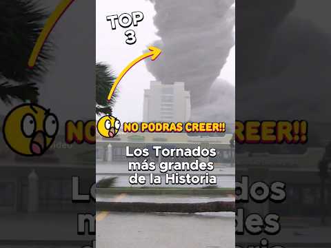 TOP #3 LOS