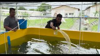 BFAR staff gain practical skills in milkfish aquaculture