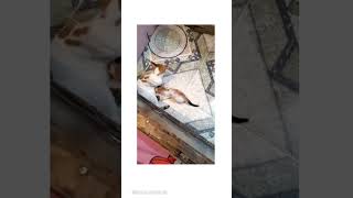 Cute Mom With Cute Baby