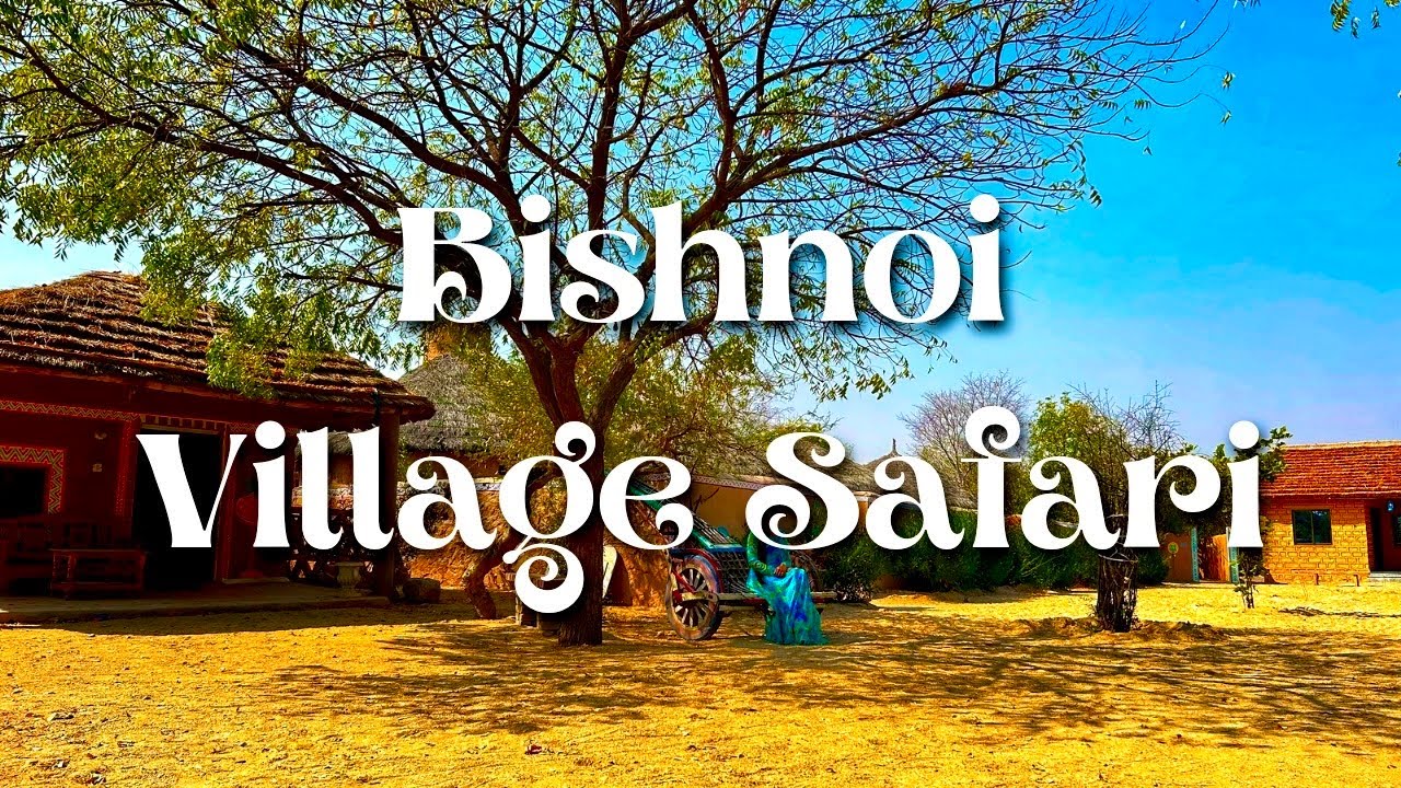 bishnoi village safari timings