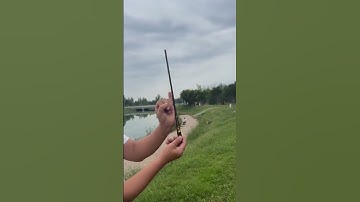 Cần câu tay 4H, cần câu cá rô chép diếc cảm giác #fishing #shorts