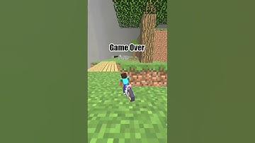 Minecraft crazy #filter #minecraft #games #gaming #game #fyp #shorts #viralreels #mojang