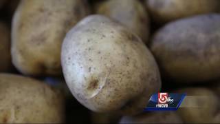 Cape Cod business uses Made in Mass. for their liquor