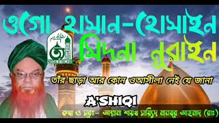 ওগো হাসান হোসাইন সিদনা নূরাইন, @NedaeIslamCallofpeace Allama Shaykh Say'eed Manzoor Ahmad Rad.