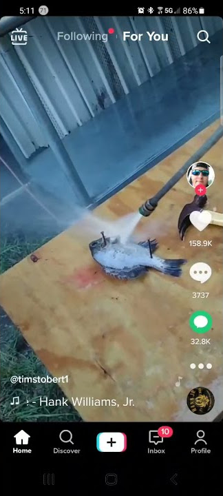Scaleing a fish w/ pressure washer