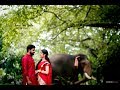 Brahmins wedding teaser bokeh ads  bestbrahminwedding