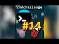 CmdChallenge 14
