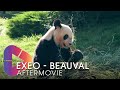 Exeo promotion  aftermovie