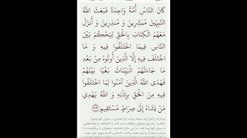 سوره مبارکه بقره آیات۲۱۱و۲۱۲با معنی گویا گوارای وجودتان #قرآن #قران_كريم #قران #قرآن_كريم #youtube