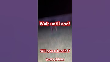 T-Bone needs Ranch!  #cow #cowlover #cowvideos #meat #steak #cattle #ranch #cowboy