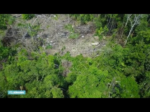 Video: Amazone vrouwen. Wilde stammen van de Amazone