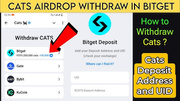 Cats Airdrop Withdrawal on Bitget 🐱 | How to Find Deposit Address & UID 🔑 | Cats Token Update 2024