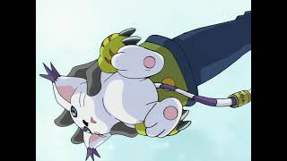 Digimon Seasons 1 and 2 Wizardmon (English dub)