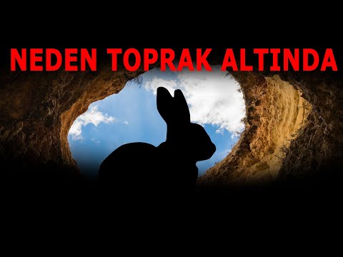 Video: Diyatomlu toprak tavşanları itecek mi?