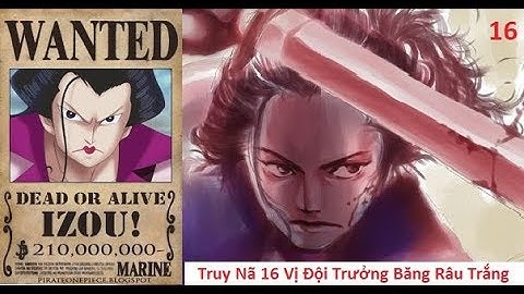 Mức Truy Nã - 16 Vị Đội Trưởng Băng Râu Trắng (One Piece)