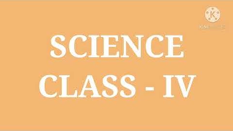 Class 4 || Plants in the surroundings and environment 4