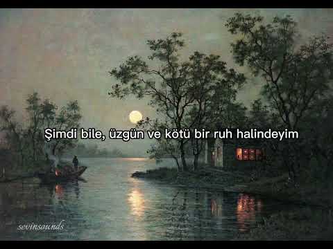 Peyman Zarei- Zakhm (türkçe çeviri)