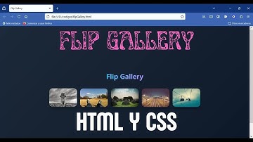 ✨ Cómo crear una Flip Gallery con HTML y CSS - Web development