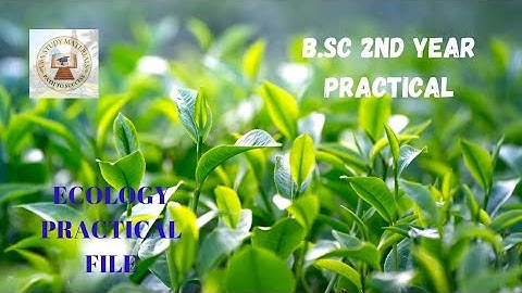 🎯ALLAHABAD UNIVERSITY|B.SC 2ND YEAR| PRACTICAL FILE OF BOTANY (ECOLOGY) WITH TS OF STEM