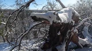 Україна. Смакота на природі. 👍🔥🇺🇦